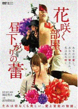 光影长廊港片修复精选封面